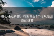 糖心vlog科普：花絮背后7个你从没注意的细节