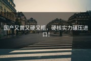 国产又黄又硬又粗，硬核实力碾压进口！
