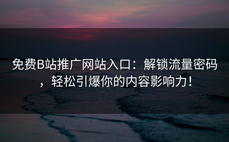免费B站推广网站入口：解锁流量密码，轻松引爆你的内容影响力！