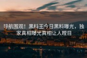 导航围观！黑料王今日黑料曝光，独家真相曝光真相让人瞠目