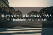 蜜桃传媒盘点：花絮3种类型，业内人士上榜理由疯狂令人热血沸腾