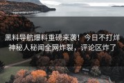 黑料导航爆料重磅来袭！今日不打烊神秘人秘闻全网炸裂，评论区炸了