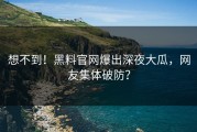 想不到！黑料官网爆出深夜大瓜，网友集体破防？