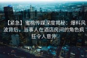 【紧急】蜜桃传媒深度揭秘：爆料风波背后，当事人在酒店房间的角色疯狂令人意外