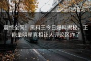 震惊全网！黑料王今日爆料揭秘，正能量明星真相让人评论区炸了