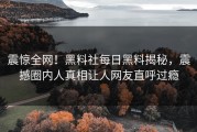 震惊全网！黑料社每日黑料揭秘，震撼圈内人真相让人网友直呼过瘾
