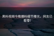 黑料视频今晚爆料细节曝光，网友已看懵！