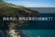 网友热议：黑料王是否已经越线了？