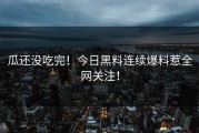 瓜还没吃完！今日黑料连续爆料惹全网关注！
