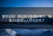 震惊全网！黑料网今晚爆料曝光，独家大V真相让人评论区炸了