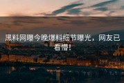 黑料网曝今晚爆料细节曝光，网友已看懵！