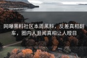 网曝黑料社区本周黑料，反差真相翻车，圈内人丑闻真相让人瞠目