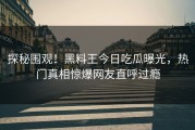 探秘围观！黑料王今日吃瓜曝光，热门真相惊爆网友直呼过瘾