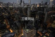 三级网站
