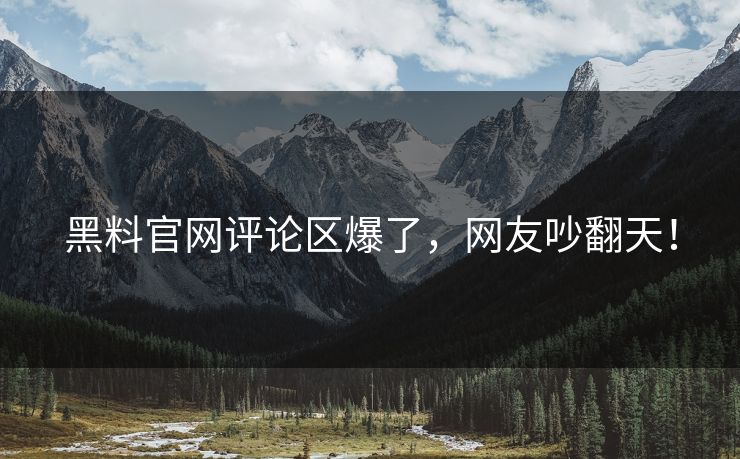 黑料官网评论区爆了，网友吵翻天！