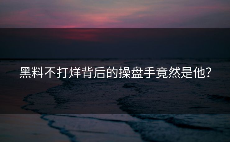 黑料不打烊背后的操盘手竟然是他？