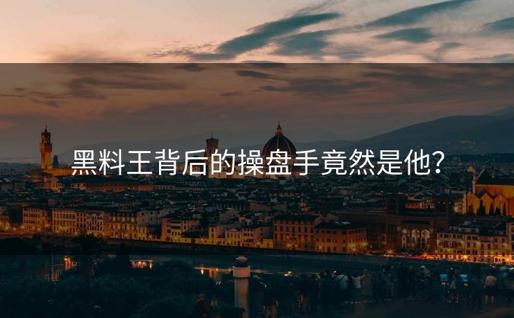 黑料王背后的操盘手竟然是他？