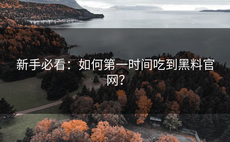 新手必看：如何第一时间吃到黑料官网？