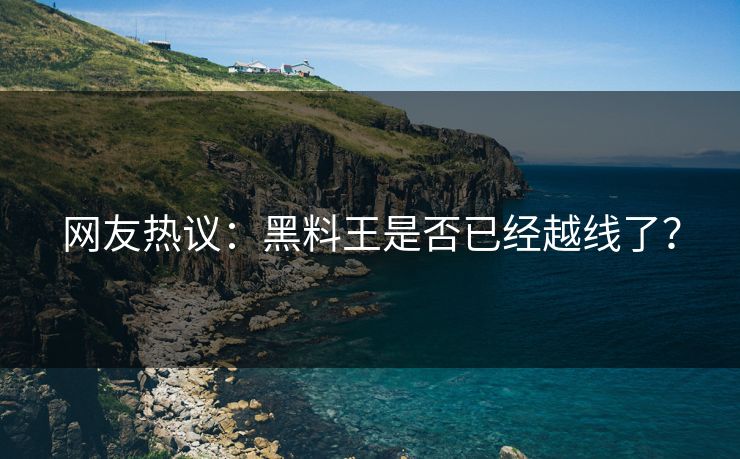 网友热议：黑料王是否已经越线了？
