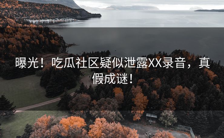 曝光！吃瓜社区疑似泄露XX录音，真假成谜！