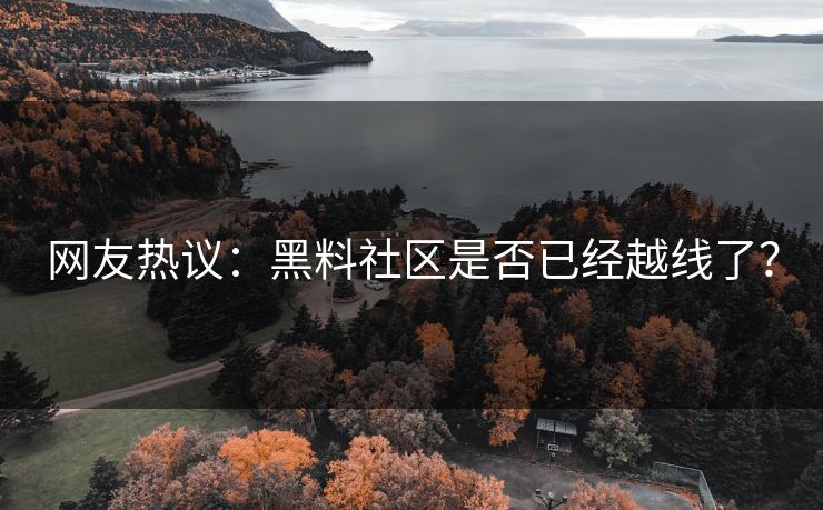 网友热议：黑料社区是否已经越线了？