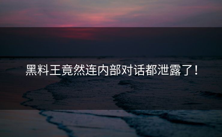 黑料王竟然连内部对话都泄露了！