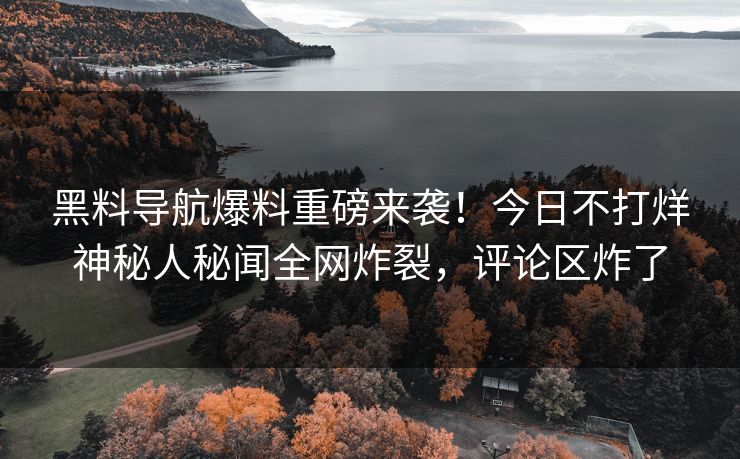 黑料导航爆料重磅来袭！今日不打烊神秘人秘闻全网炸裂，评论区炸了