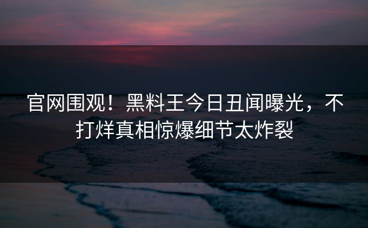 官网围观！黑料王今日丑闻曝光，不打烊真相惊爆细节太炸裂