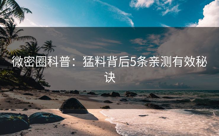 微密圈科普：猛料背后5条亲测有效秘诀