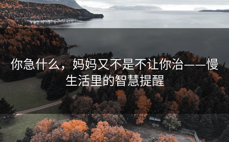 你急什么，妈妈又不是不让你治——慢生活里的智慧提醒
