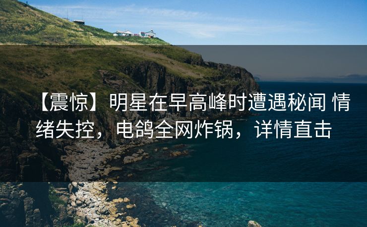 【震惊】明星在早高峰时遭遇秘闻 情绪失控，电鸽全网炸锅，详情直击